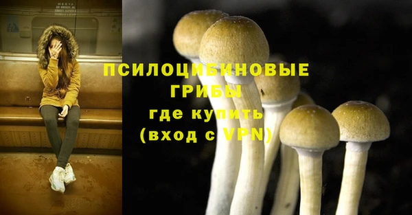 дживик Алексеевка