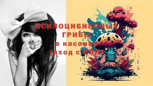 эйфоретик Алзамай