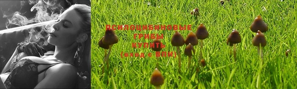 эйфоретик Алзамай