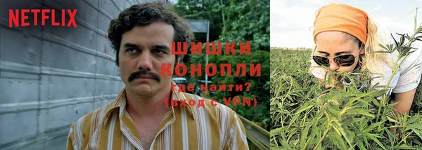 эйфоретик Алзамай